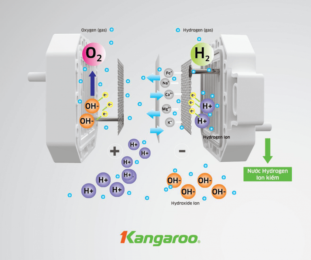 Máy lọc nước Ion kiềm Kangaroo có những lõi lọc nào?