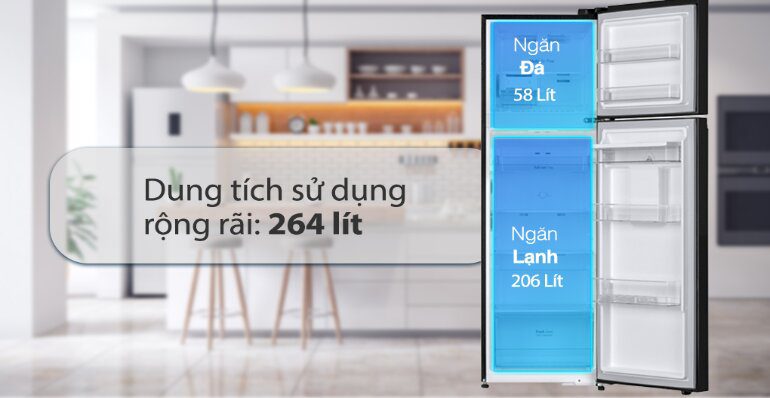 Có nên mua tủ lạnh LG Inverter 264 lít GV-D262BL cho gia đình không?